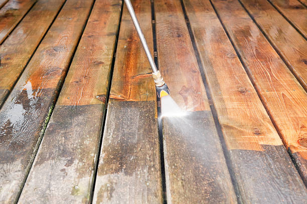 Best Gutter Cleaning  in Nicholson, GA